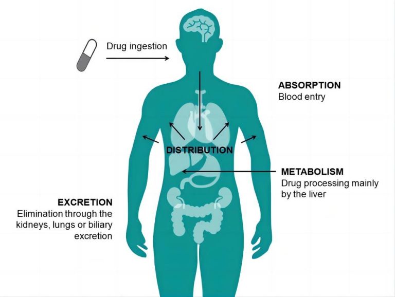 tab bisoprolol mechanism of action