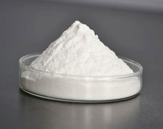 Rotigotine powder