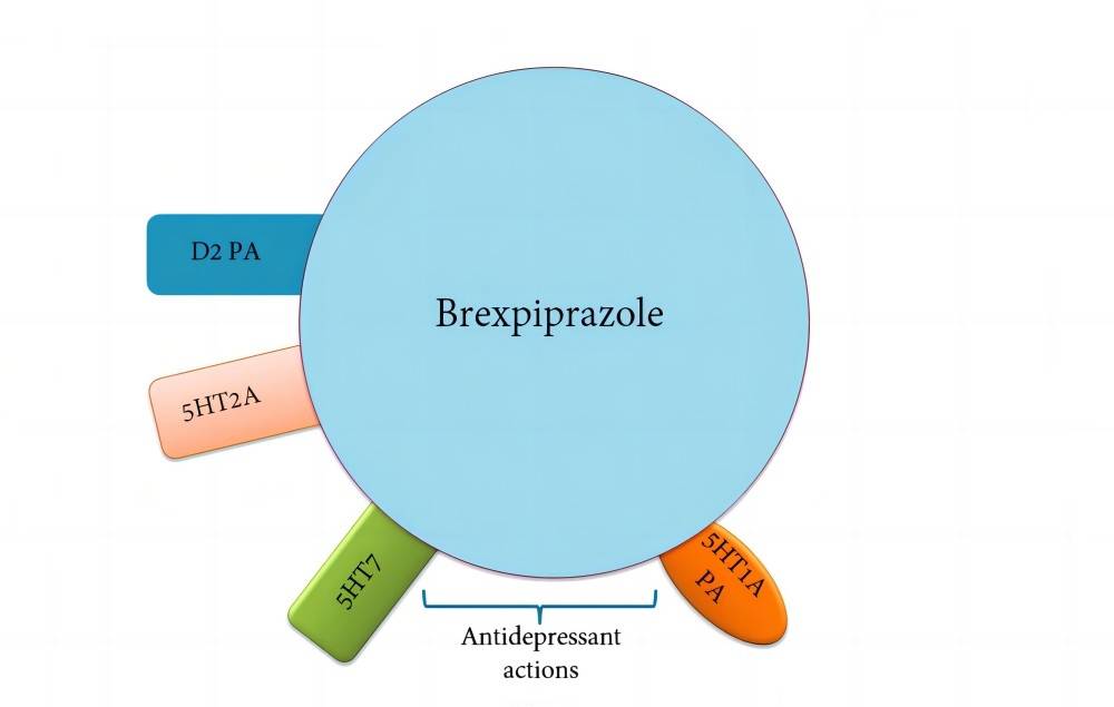 Mechanism of Action of Brexpiprazole API
