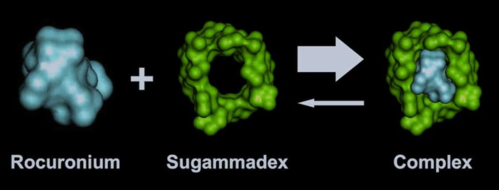 Mechanism of Action of Sugammadex Sodium